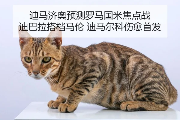 迪马济奥预测罗马国米焦点战 迪巴拉搭档马伦 迪马尔科伤愈首发